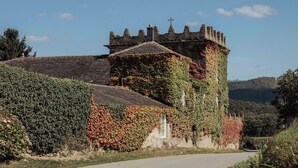 Ein historisches Steinhaus mit Efeu bewachsenen Mauern und einem Turm, eingebettet in eine ländliche Landschaft.