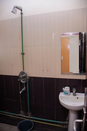 Habitación de lujo | Baño | Ducha, toallas, jabón y papel higiénico