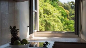 Private kitchen - Charming Historic Studio with Stunning Views & Rooftop Terrace (Herceg Novi)