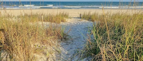 On the beach