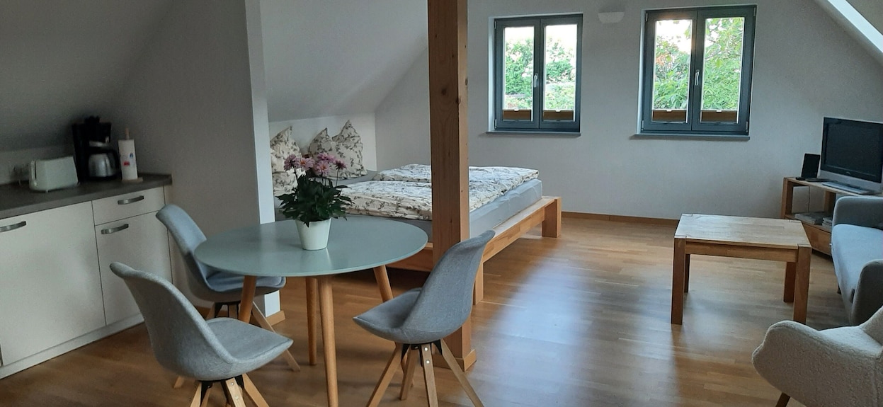 Apartment Ziegfried#ziegenhof - Radebeul