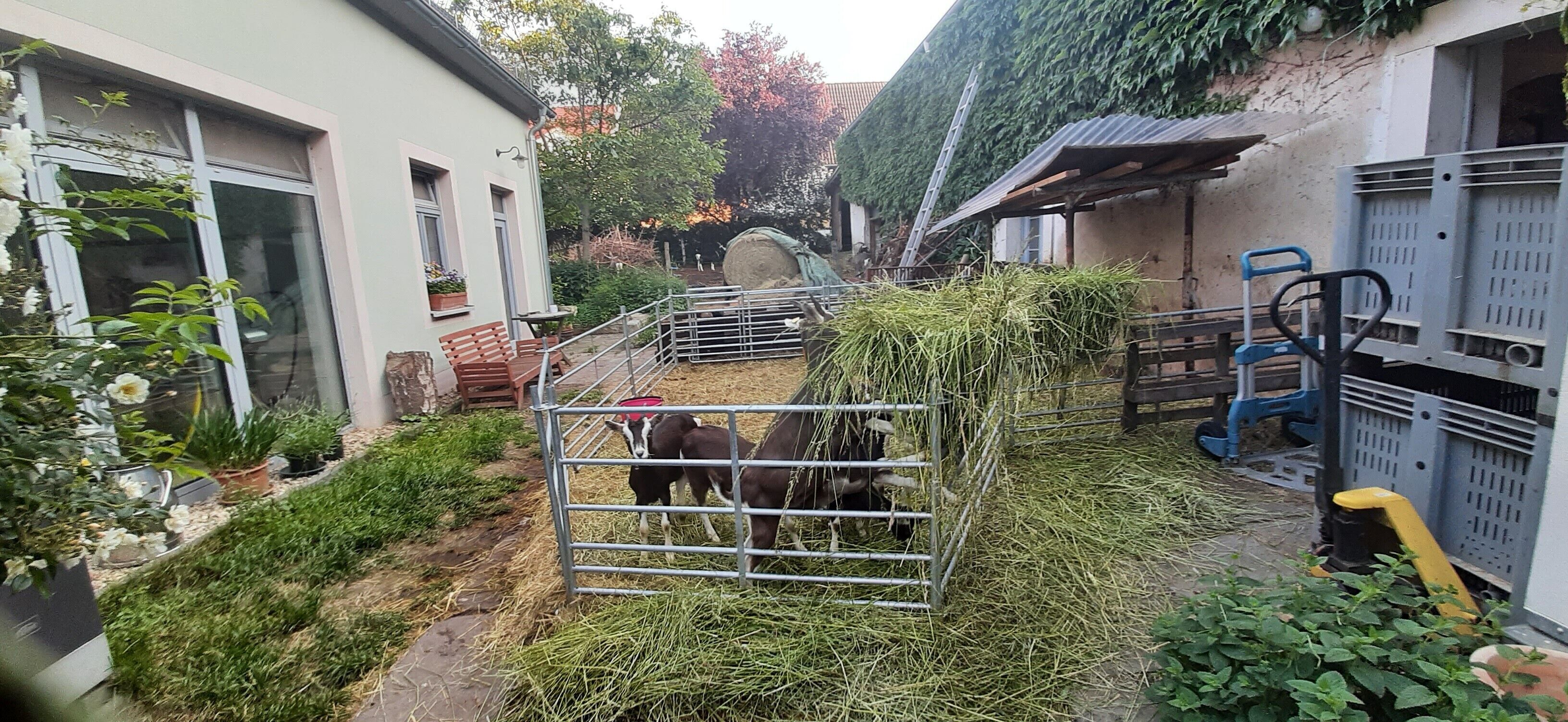Unterkunftsgelände
