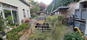 Un espace clos, avec du foin, une porte en métal et un bâtiment doté de fenêtres et d’une porte.