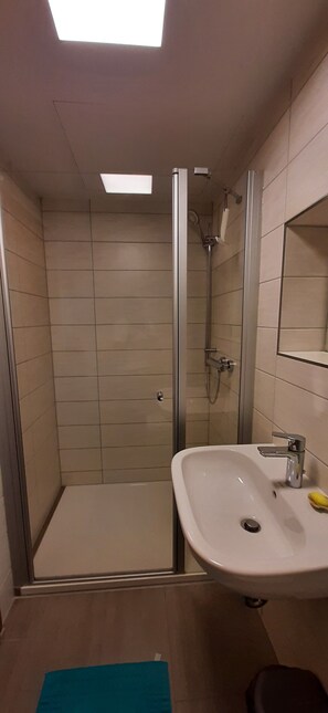 A bathroom with a shower, a sink, and a mirror. - Apartment 'Ziegfried#Ziegenhof' (Radebeul)