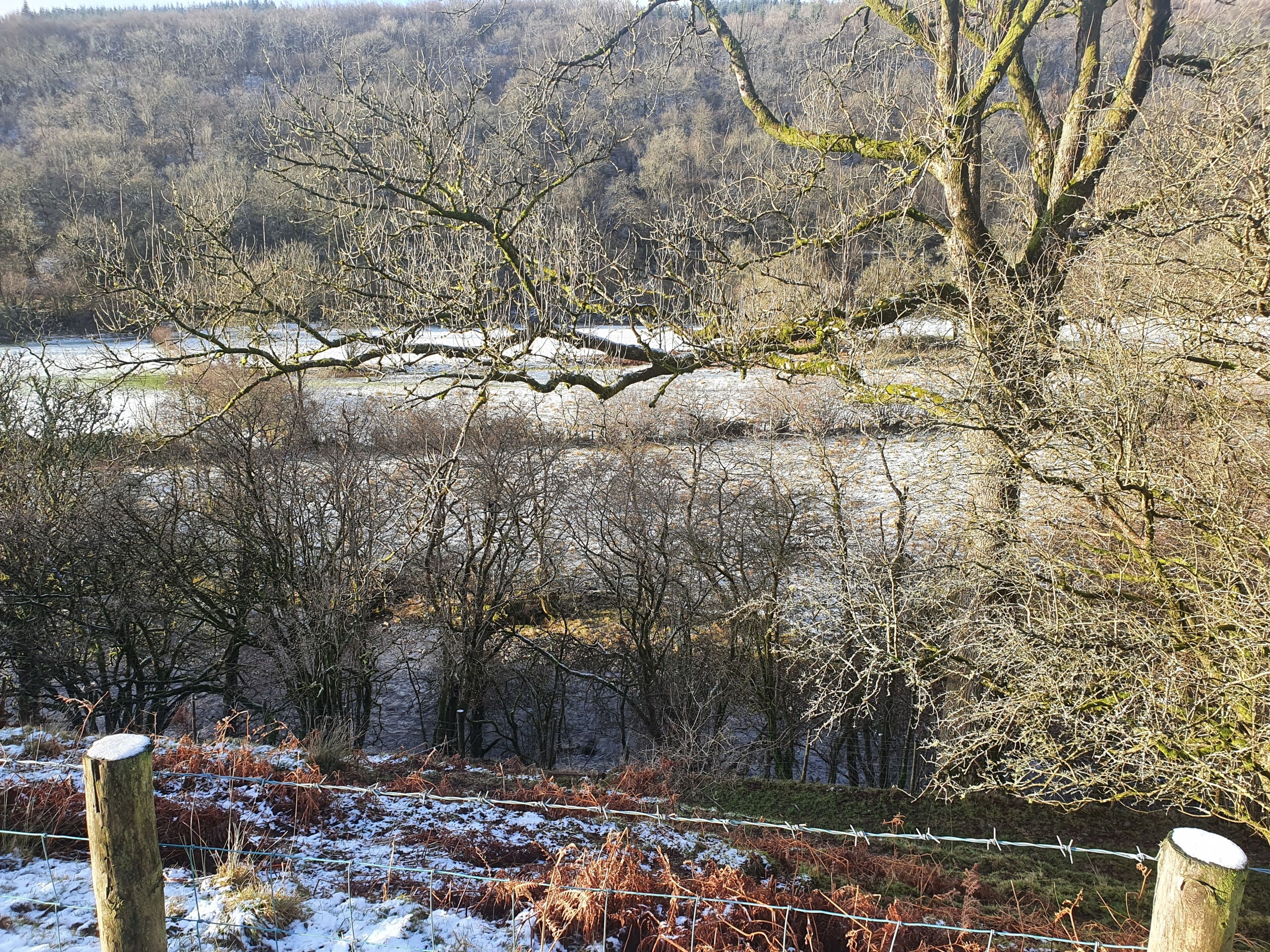 A natural landscape with a river, trees, and a wooden fence.