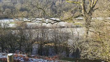 A natural landscape with a river, trees, and a wooden fence.