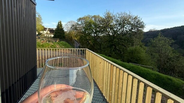 Una mano sosteniendo una copa de vino en un balcón con vistas a un paisaje verde y un edificio.