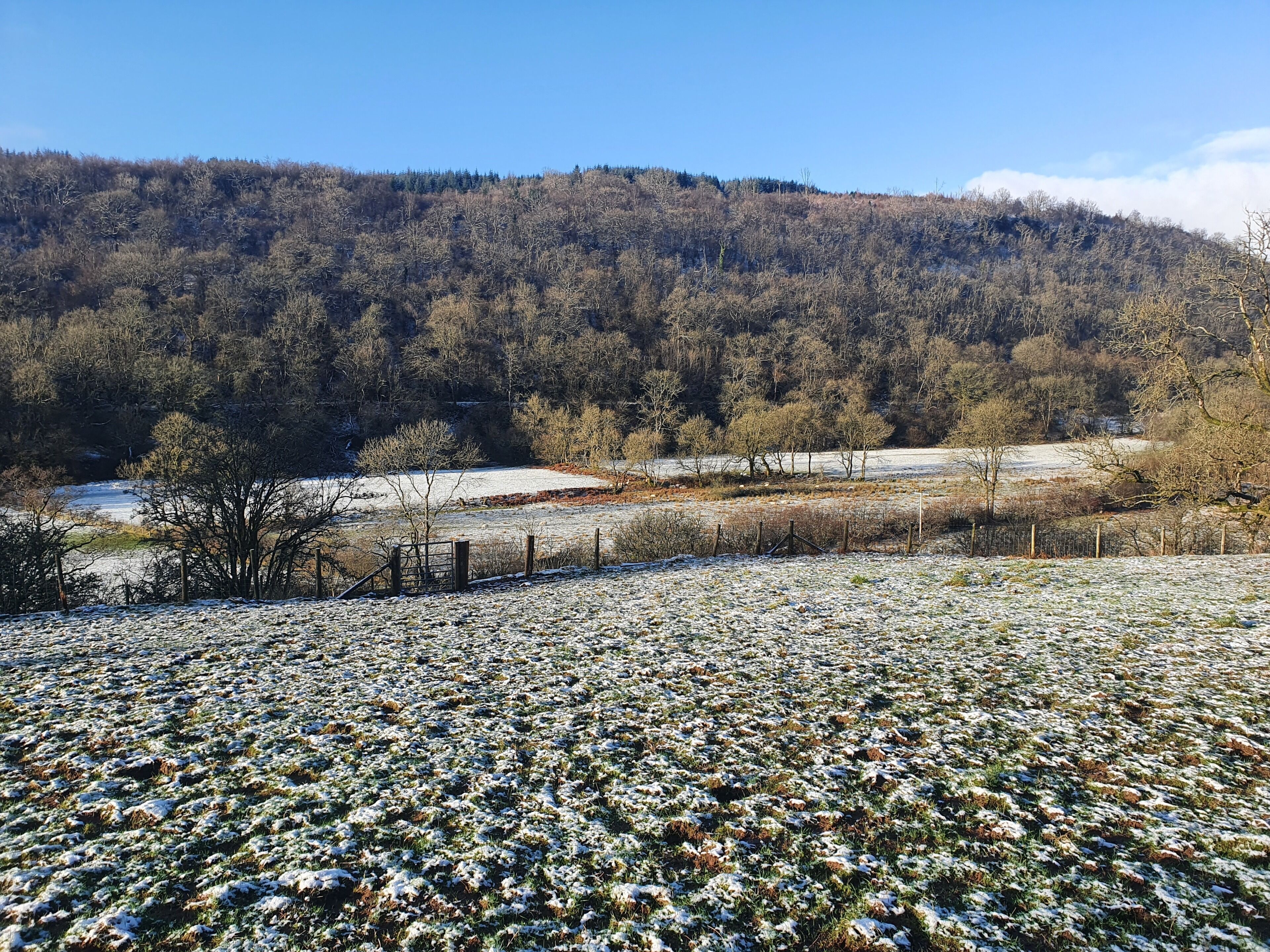 Paesaggio rurale con un campo innevato, una recinzione e una collina boscosa sullo sfondo.
