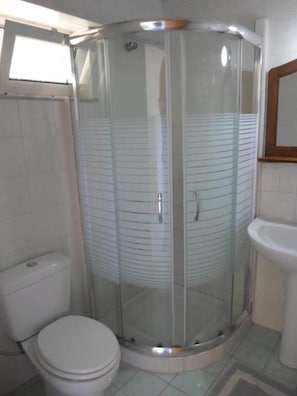 A bathroom with a glass-enclosed shower, a toilet, and a sink.
