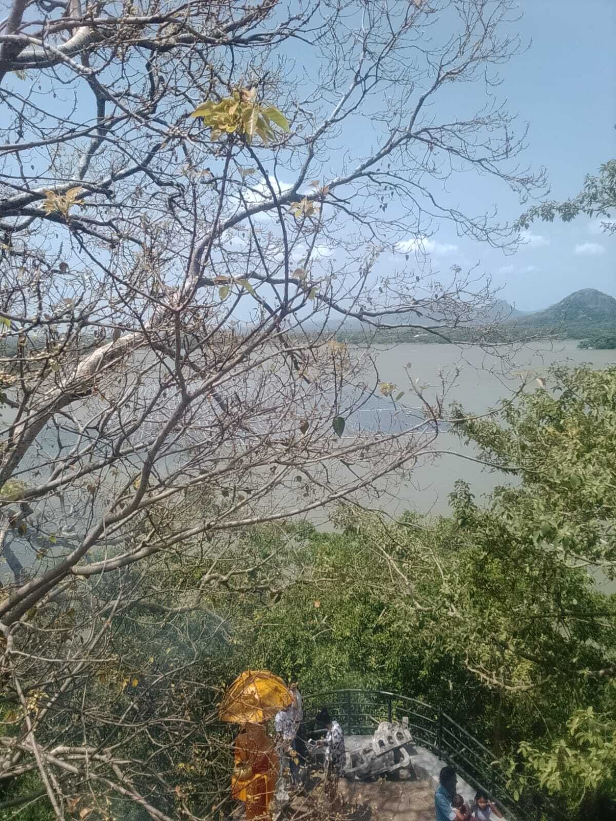 Vista de un río con un puente y árboles en primer plano.