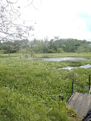 Lago