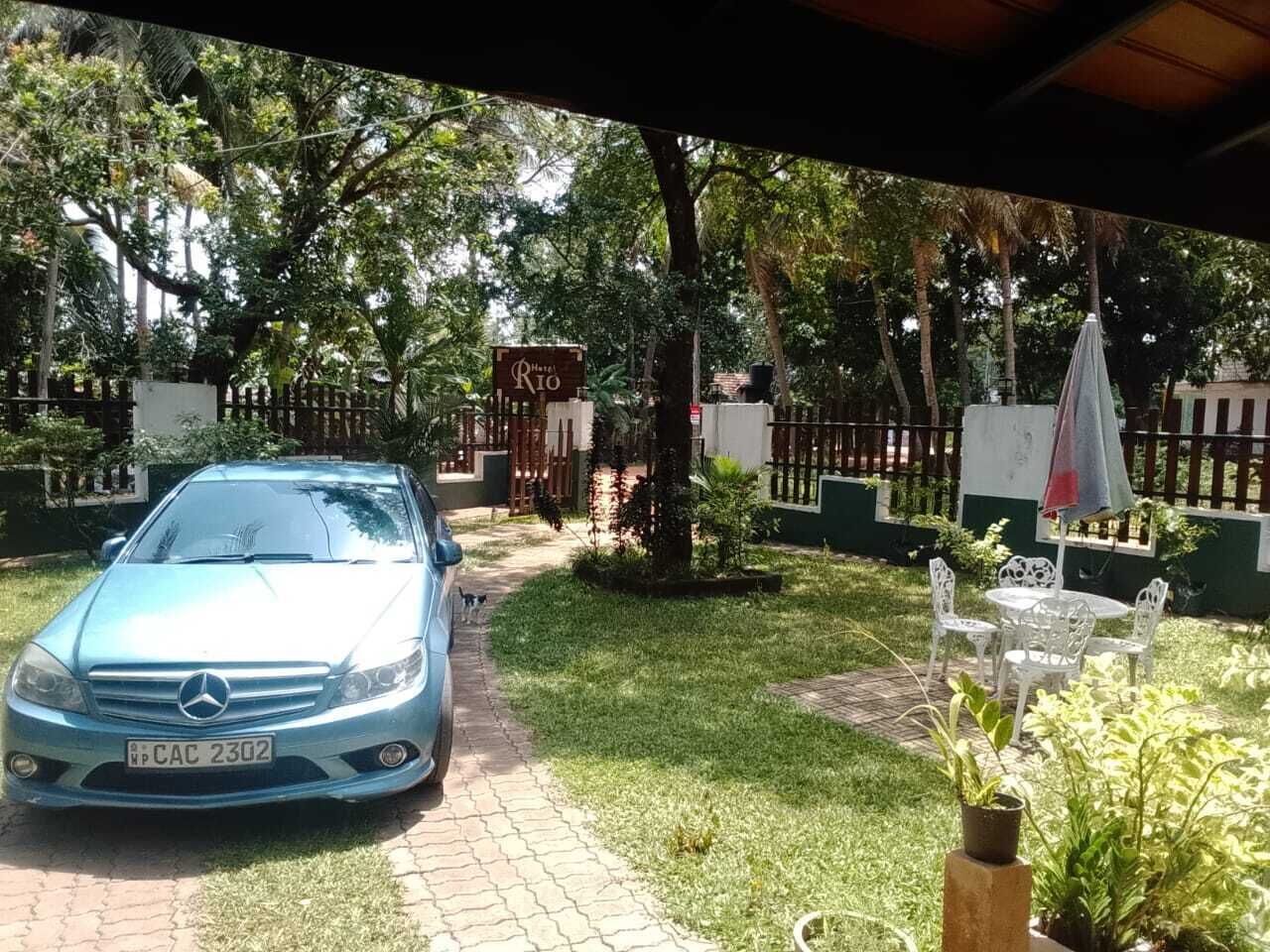 Garden view