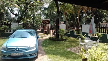 Garden view