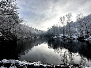 Eine friedliche Winterlandschaft mit einem ruhigen Fluss, der Bäume und Himmel spiegelt.