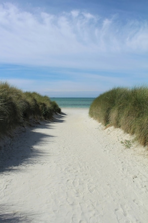 En sandig stig vid stranden, omgiven av gräs, som leder ner till havet.