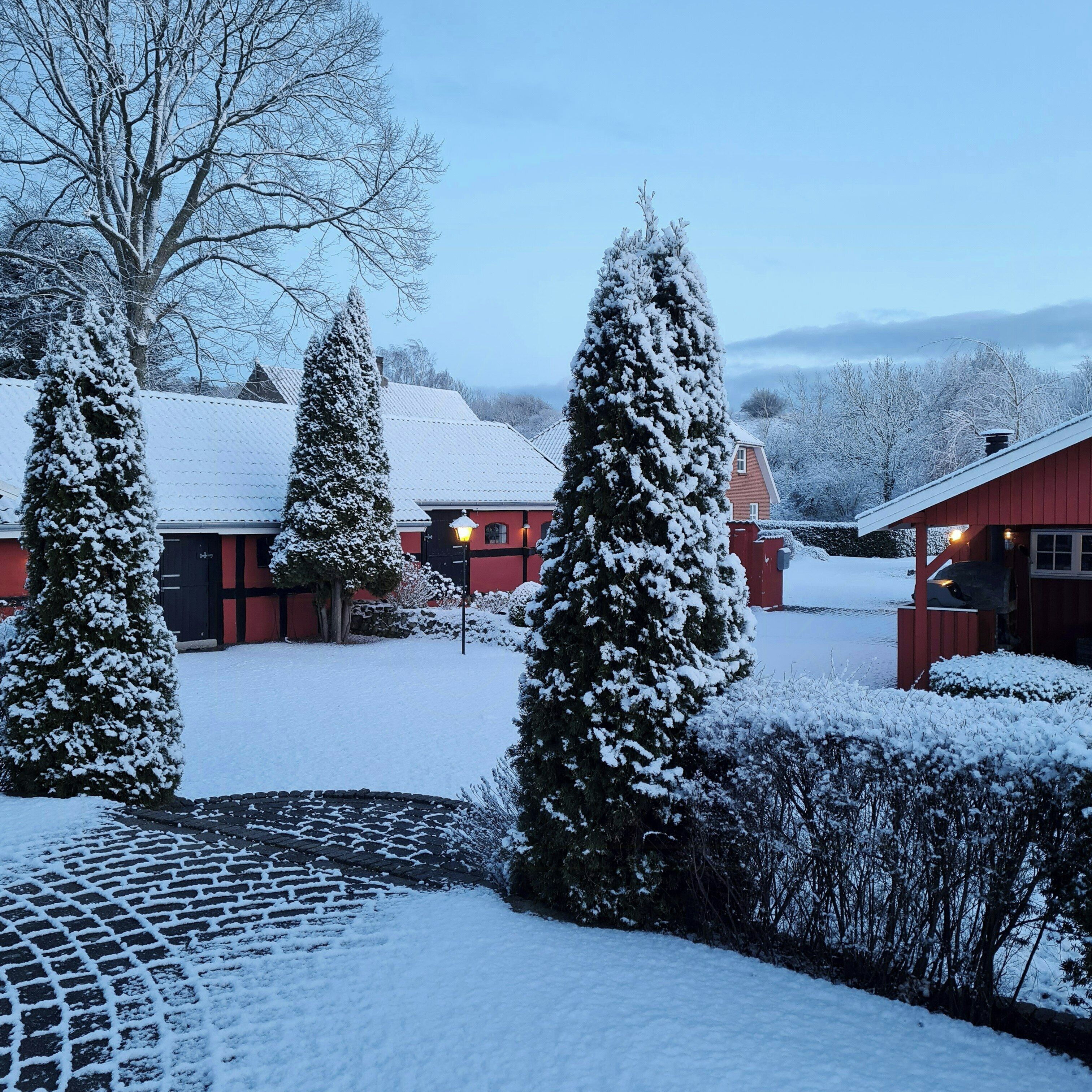 Udendørsområde