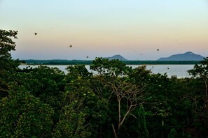 Miscellaneous - Ceylan Lodge (Anuradhapura)