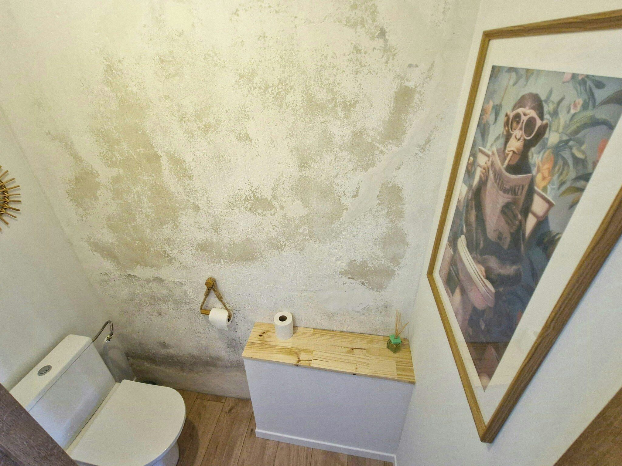 Um banheiro com vaso sanitário, uma prateleira de madeira com papel higiênico e um quadro na parede.