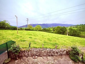 Paisaje rural con un muro de piedra, una cerca verde y una línea eléctrica.