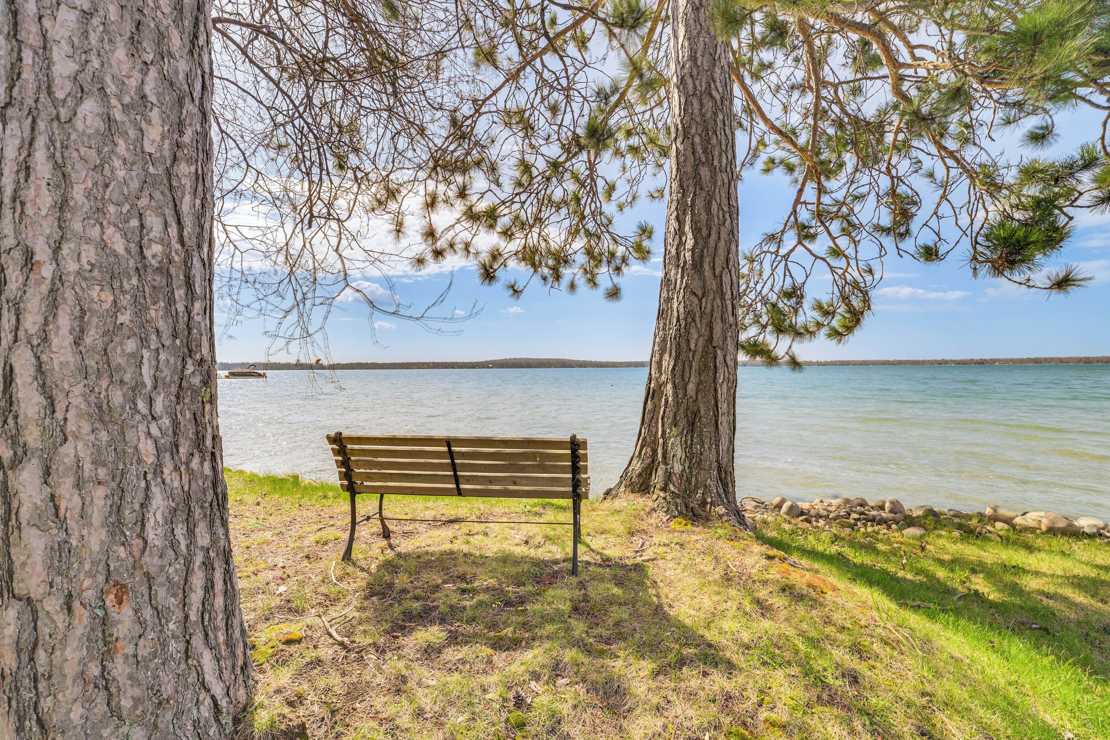 A bench by a lake with trees and a clear sky.
