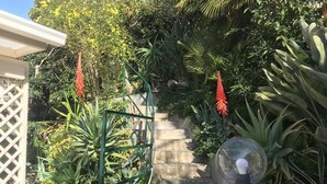 Ein Gartenweg mit Stufen, der zu einem Tor führt, umgeben von verschiedenen Pflanzen und einem klaren Himmel.