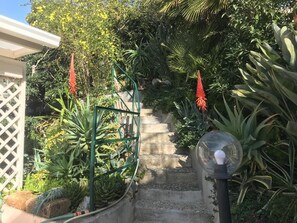 A garden pathway with steps leading to a gate, surrounded by various plants and a clear sky. - La Terrasse - Matteotti 110 (Ospedaletti)