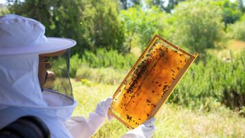A person in protective clothing holding a beehive frame.