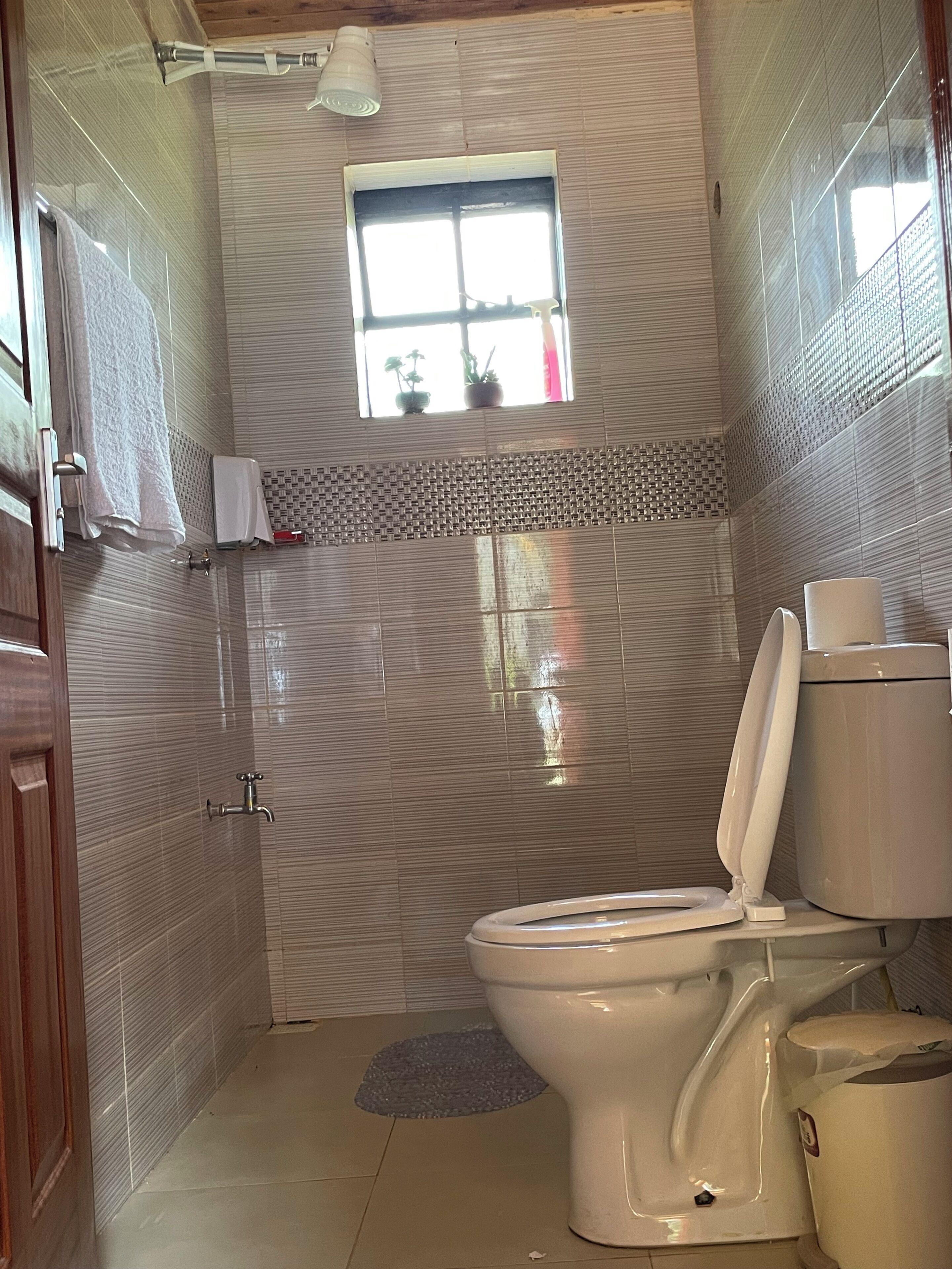 Regadera, toallas, jabón, papel de baño 