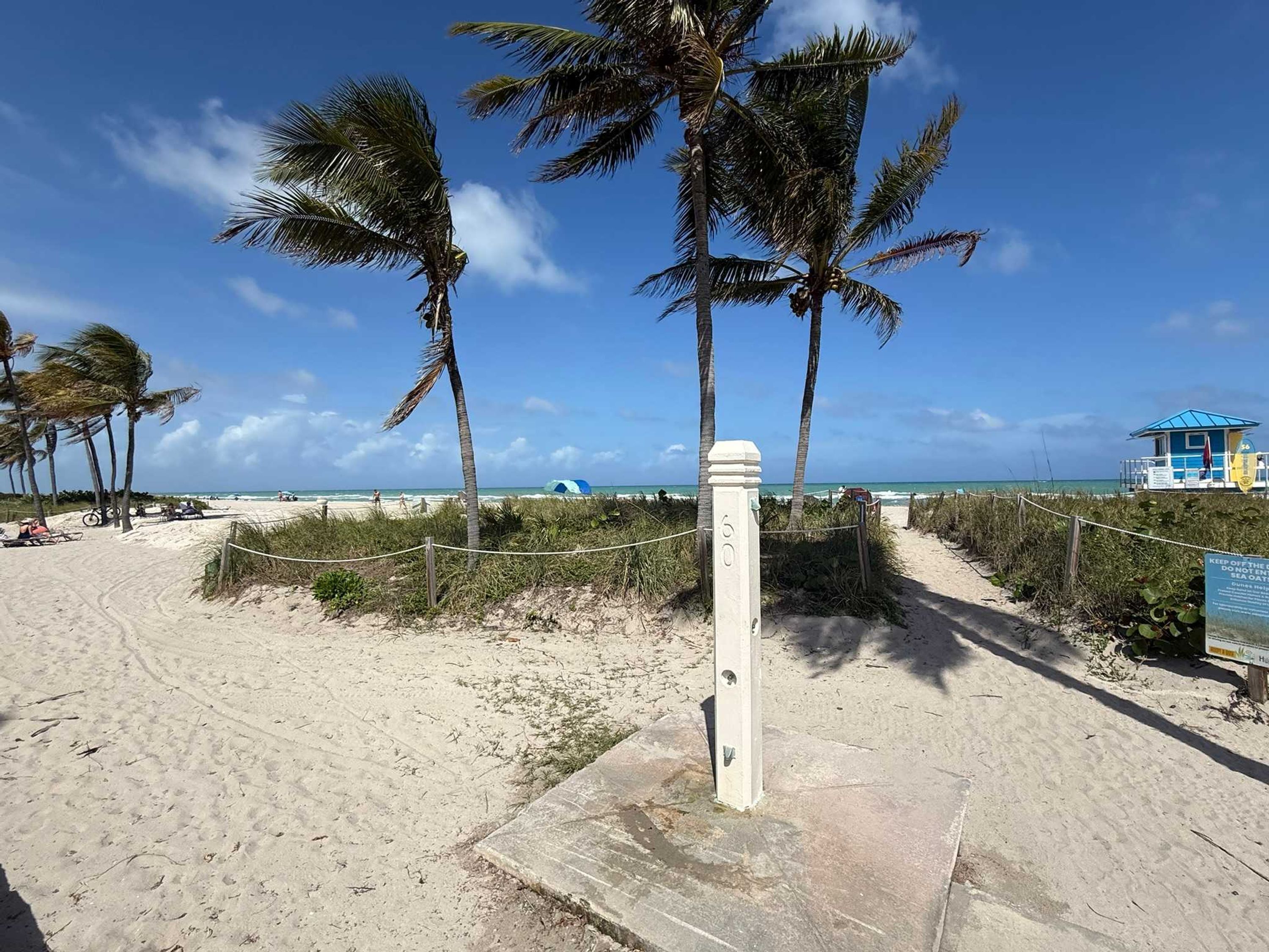 A beach with palm trees, a lifeguard tower, and a signpost.