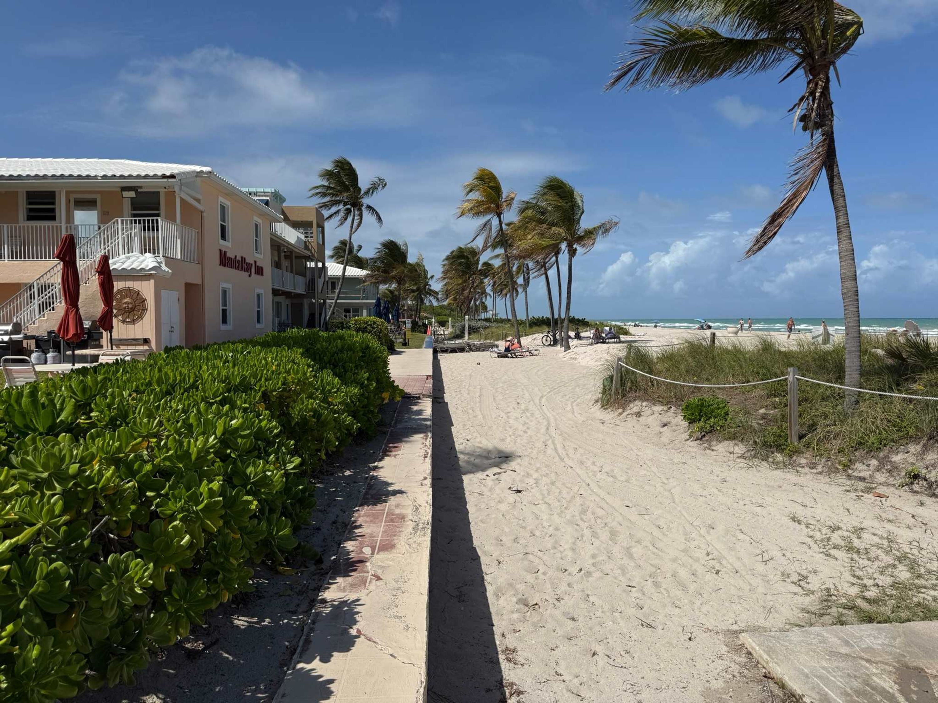 A beachside hotel with a paved walkway, palm trees, and a view of the ocean.