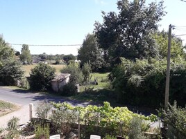 Un paisaje rural con una carretera, vegetación y un edificio a lo lejos.