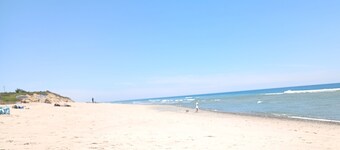 1 mile to Coast Guard beach! Friendly 4-bedroom house with AC & large yard