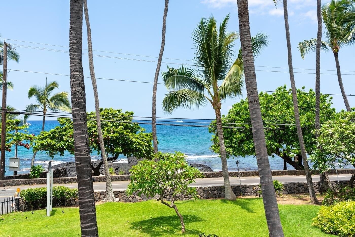 A coastal view with palm trees, a clear sky, and the ocean.