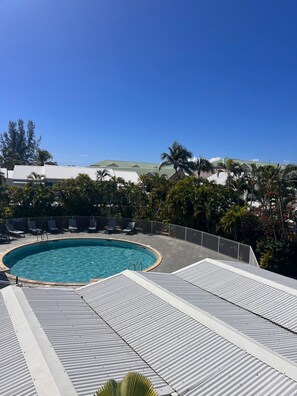 Piscina no terraço com céu azul límpido, cercada por palmeiras e espreguiçadeiras.