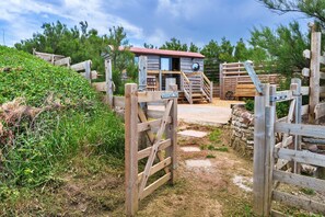 Eine rustikale Holzhütte mit rotem Dach, einer Holztreppe und einer Steinmauer.