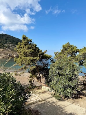A coastal landscape with trees, a clear sky, and a body of water.