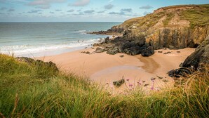Een kuststrand met rotsachtige kliffen, een zandstrand en grasvelden met bloemen.