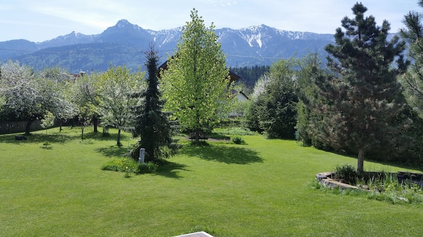 A grassy outdoor area with trees and a bench, surrounded by mountains.