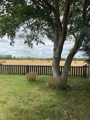 Terrain de l’hébergement