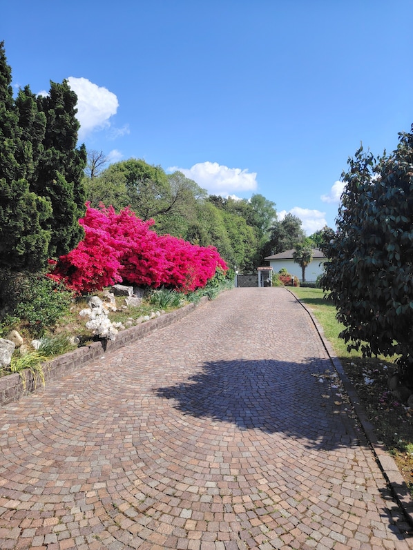 Un chemin pavé mène à un bâtiment doté d’une entrée fermée par un portail, le tout étant entouré d’une végétation luxuriante et surplombé d’un ciel bleu clair.