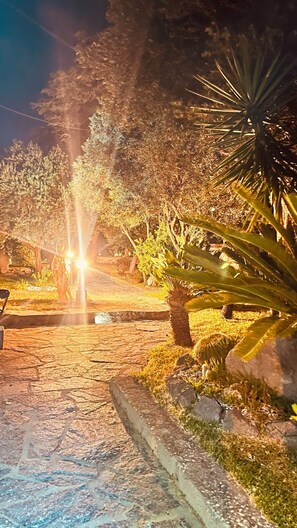 Een verhard pad in een tuin met bomen en planten, verlicht met kunstlicht.