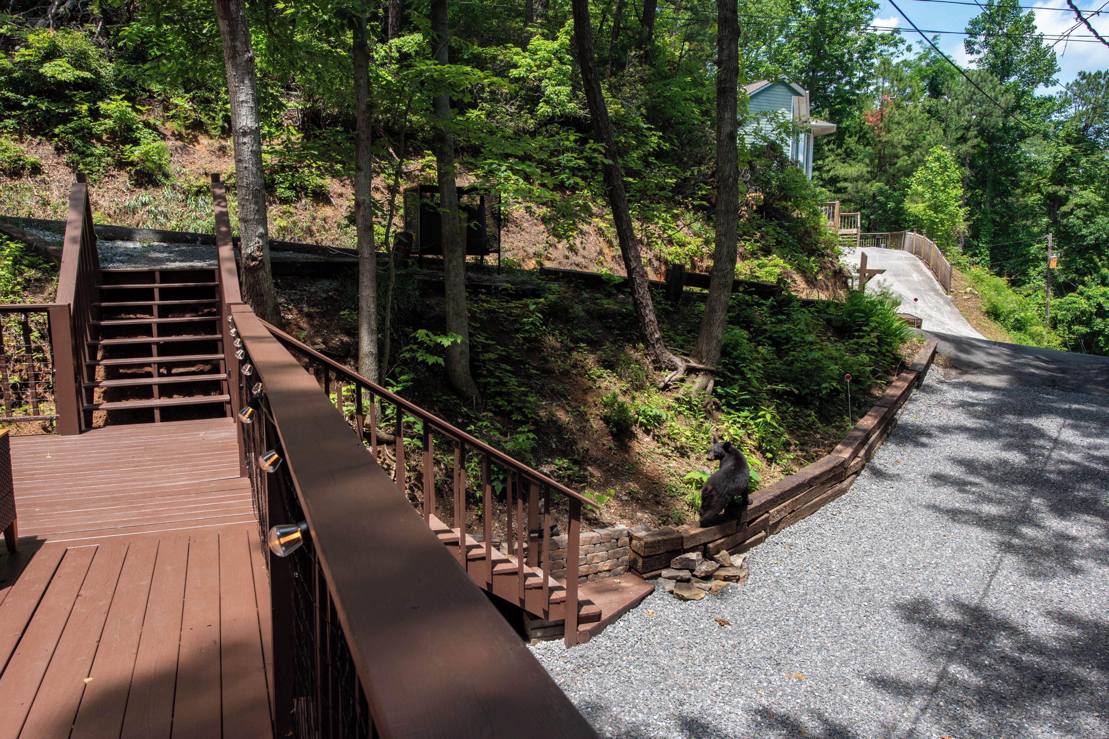 A wooden staircase leading to a building surrounded by trees.