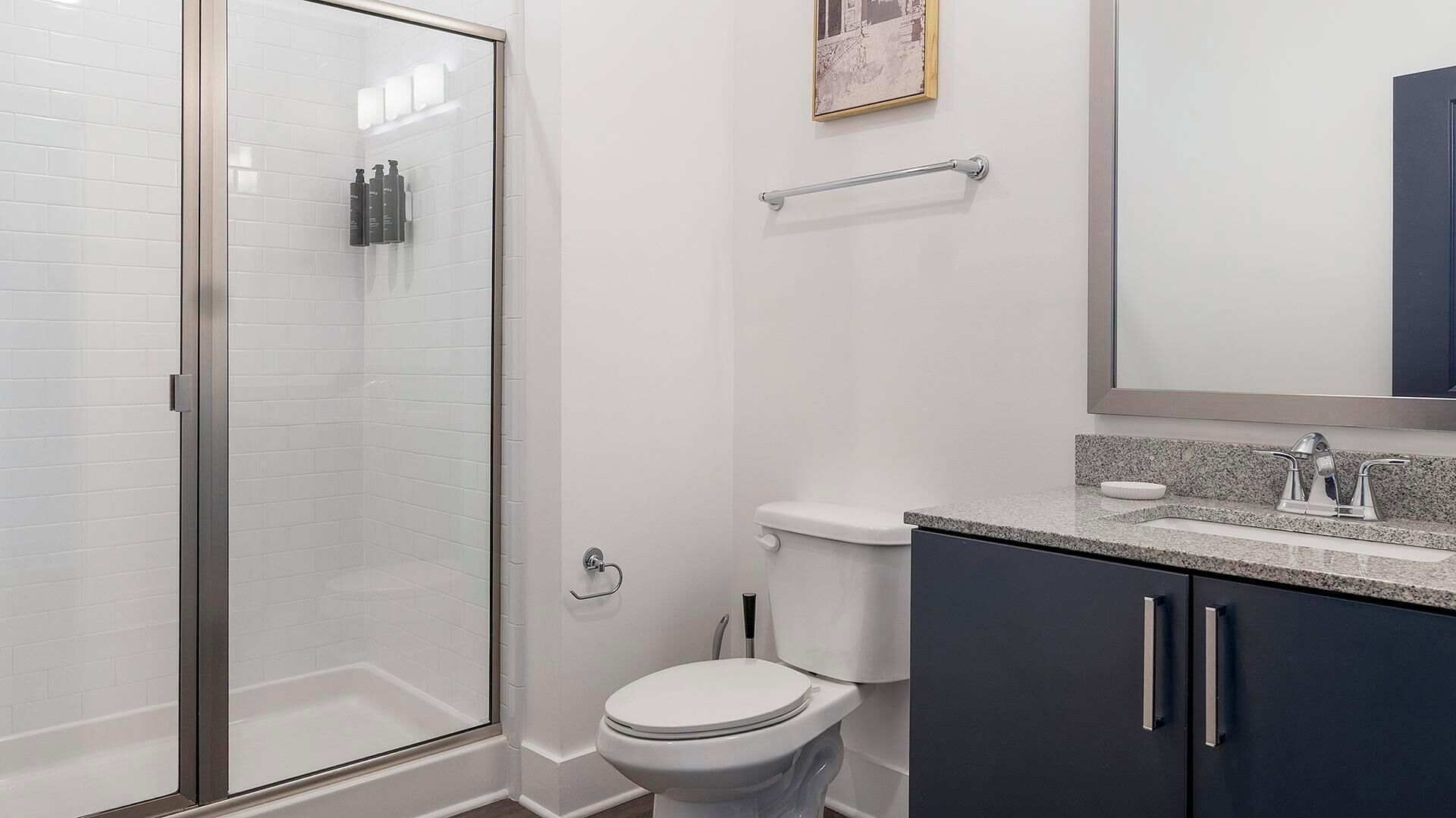 A modern bathroom with a glass shower enclosure, a toilet, and a vanity with a sink and mirror.
