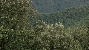 Eine gebirgige Landschaft mit einem Tal und einer kleinen Siedlung.