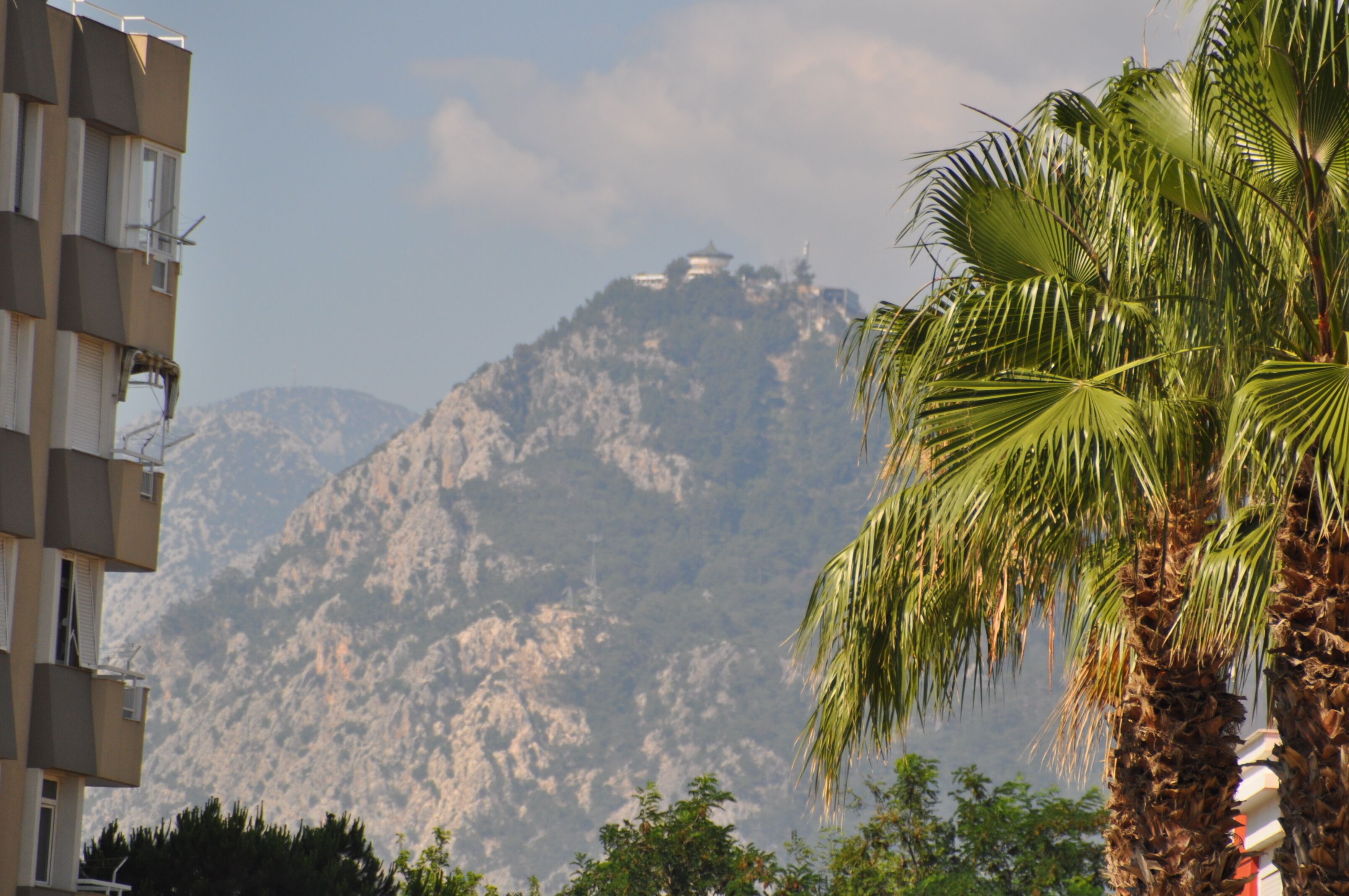 A building with a view of a mountain and palm trees.