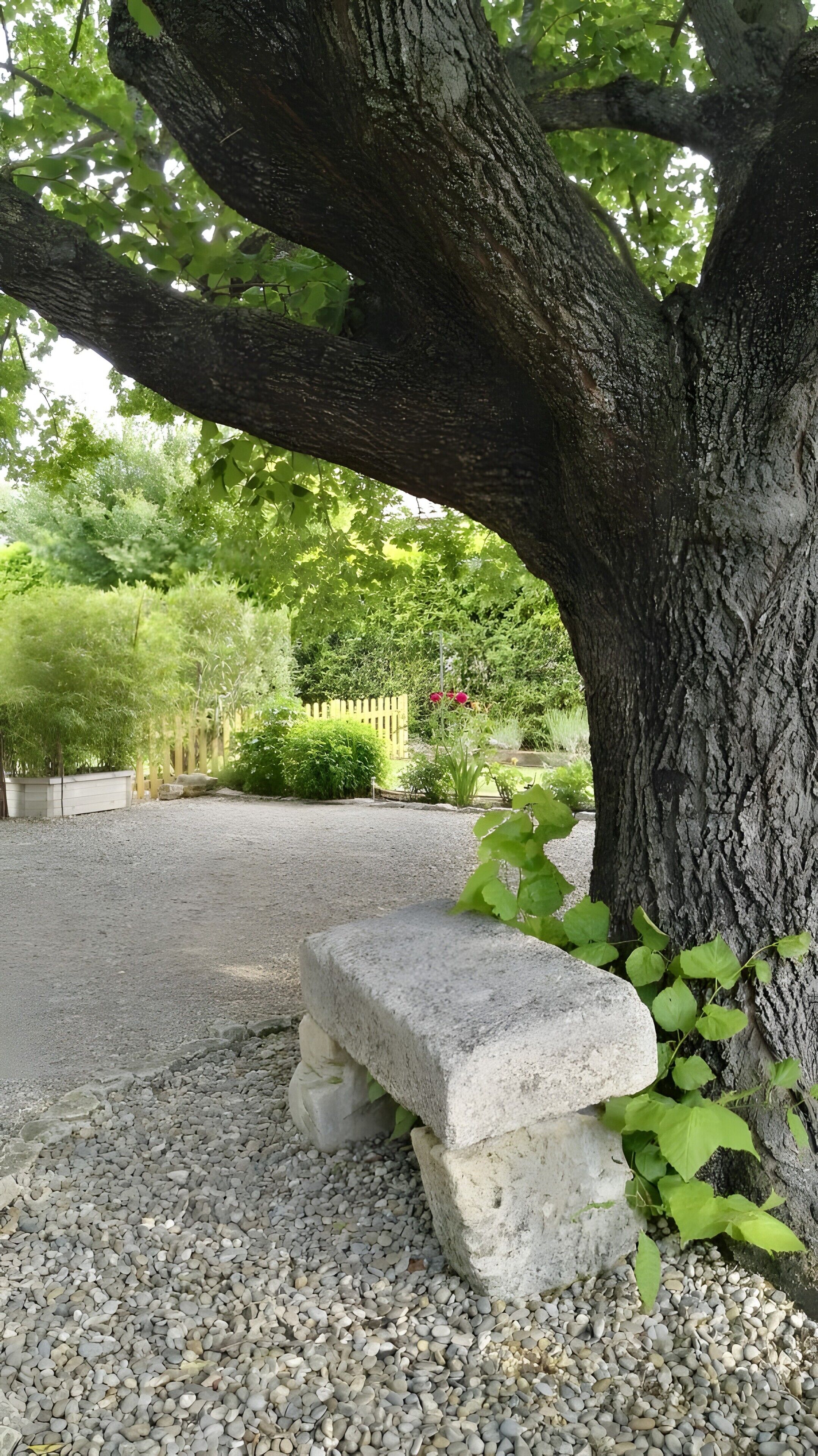 Een stenen bank onder een boom in een tuin met grind.