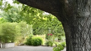 A stone bench under a tree in a garden with gravel ground. - The Bicentennial Linden Cottage (Pernes-les-Fontaines)