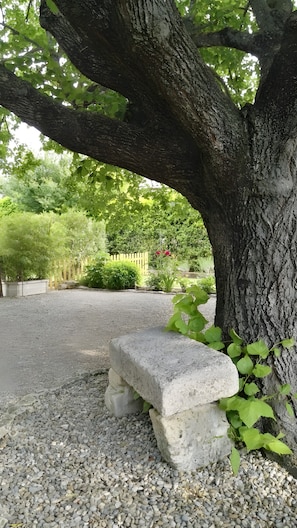 Eine Steinsitzbank unter einem Baum in einem Garten mit Kiesboden.