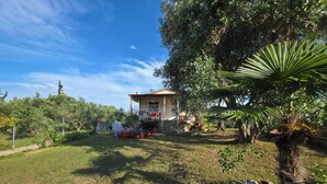 Una casa con giardino, recinzione e una palma.