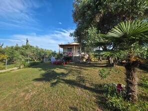 A house with a garden, a fence, and a palm tree.